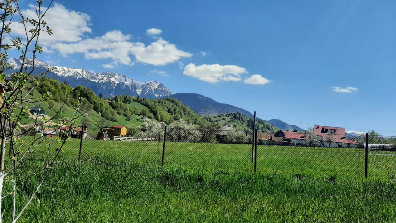 Villa Casa In Curte La Zavate Bran  Exterior foto